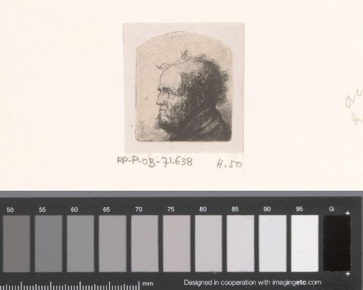 Head of a man with curly hair and beard
