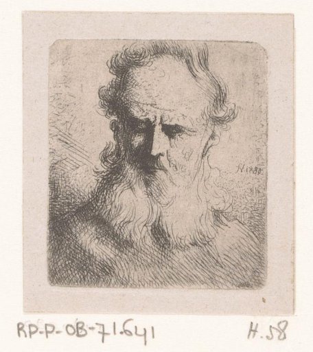Head of a man with medium-length beard