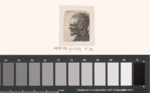 Head of a man with a short beard and moustache
