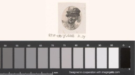 Head of a man with a cap with a feather