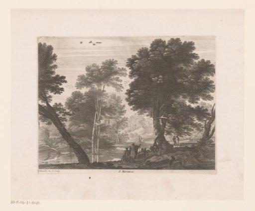 Forest landscape with a river