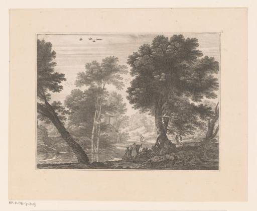 Forest landscape with a river
