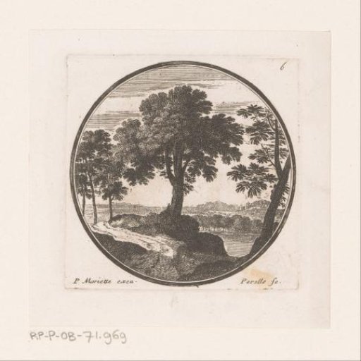 View of trees along the water