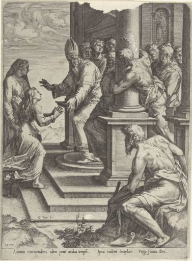 Presentation of Mary