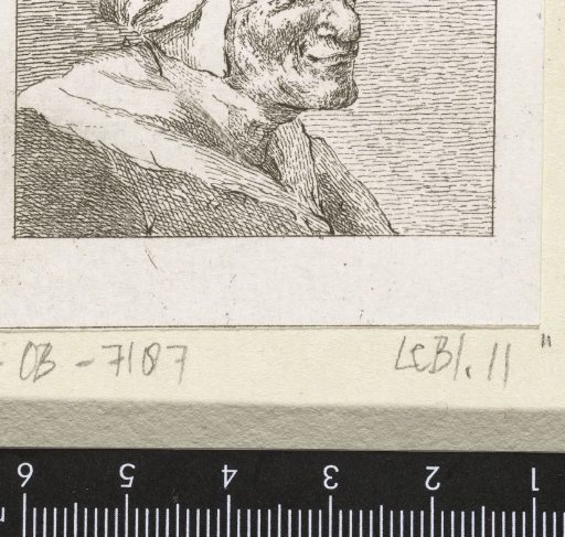 Head of an old woman