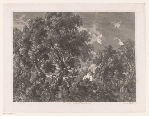 Landscape with trees in storm