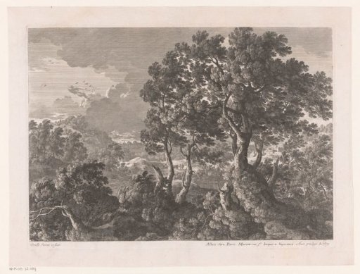 Hilly landscape with trees