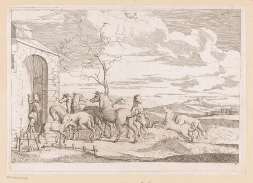 Group of horses before a stable door
