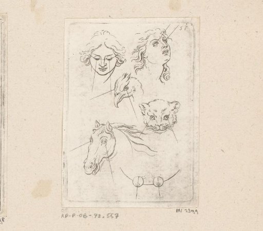 Head of a man, woman and a horse, and the head of a bird and a cat