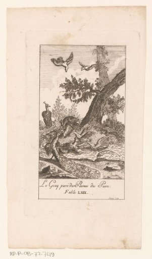 Jay adorned with the feathers of a peacock