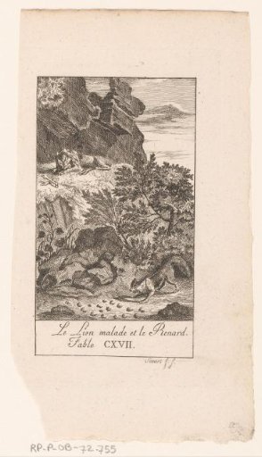 Sick Lion on a Rock, with a Fox Looking at Footprints
