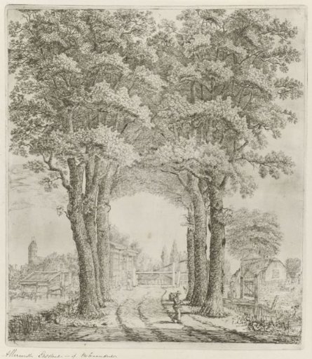 Group of Trees near Oudewater