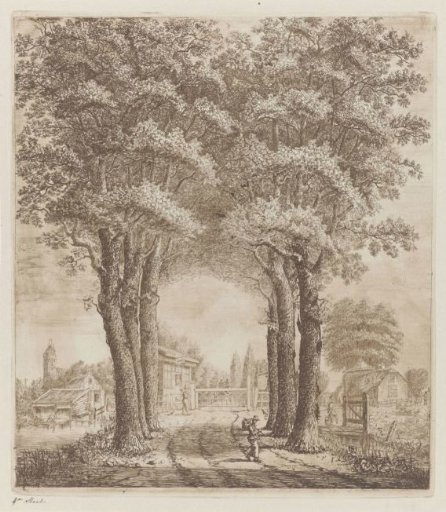 Group of Trees near Oudewater