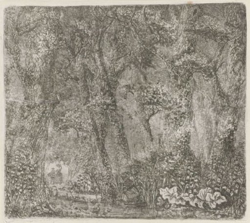 Forest View