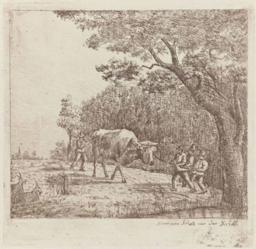 Four Men and a Bull