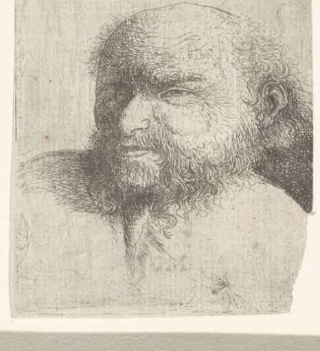 Bust of a Bald Man