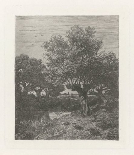 Ducks by a Ditch