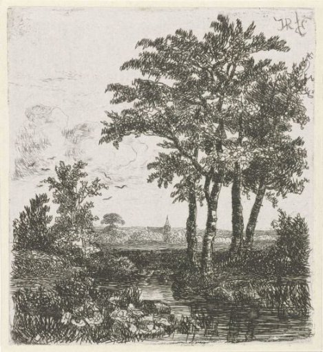 Four trees by a ditch