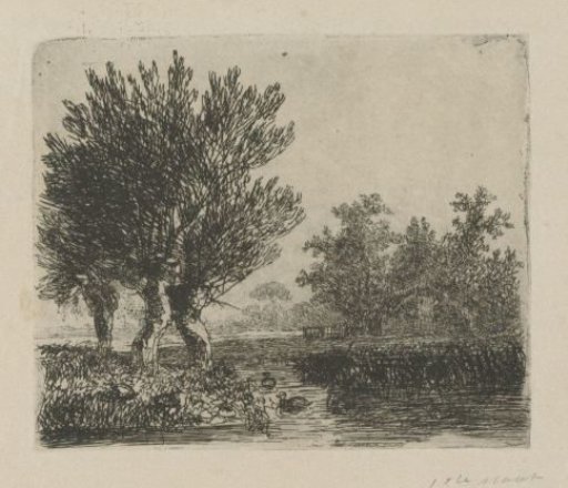 Three pollard willows by the water