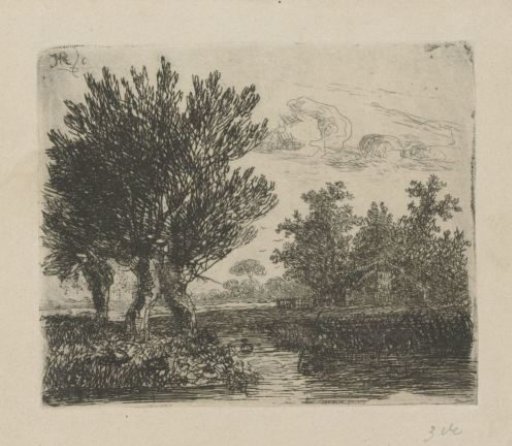 Three pollard willows by the water