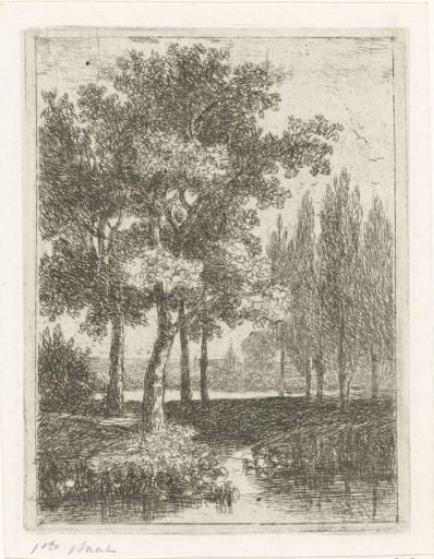 Landscape with a brook and poplars