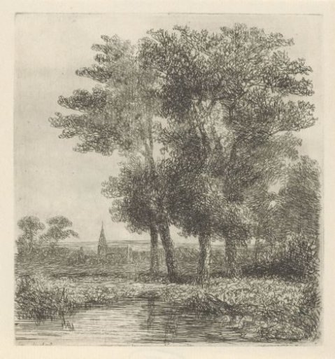 Four trees by a small pond