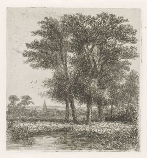 Four trees by a small pond