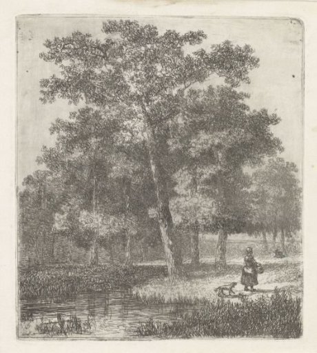 Wooded view with a woman and a dog by a small lake