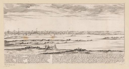 View of Avignon