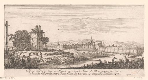 View of the marsh where Charles the Bold was killed