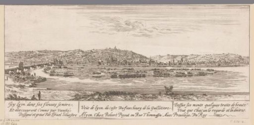 View of Lyon with the suburb of Guillotière