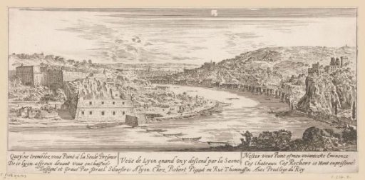 View of Lyon in a bend of the Saône