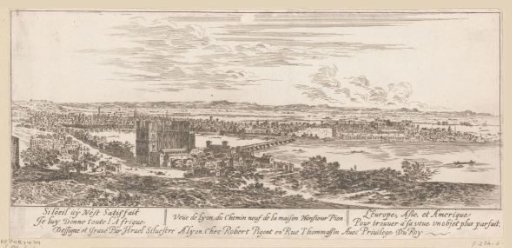 View of Lyon from the house of Monsieur Pion