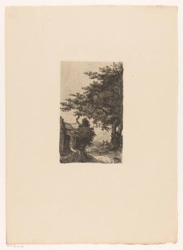 Tall trees and cottages along a path