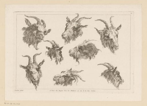 Eight Goat Heads