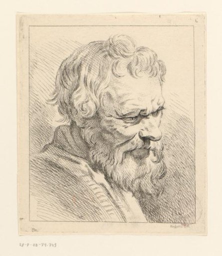 Head of a man with a beard