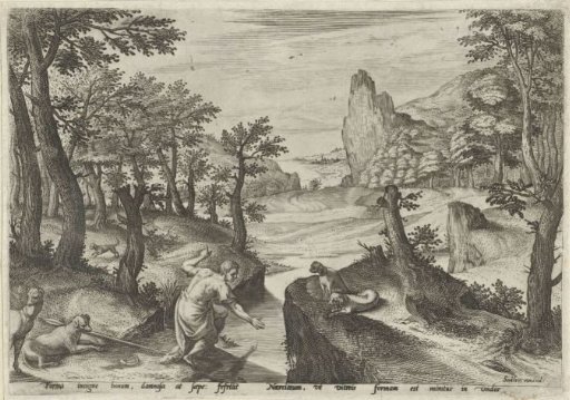 Narcissus
