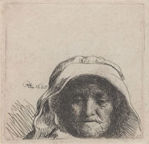 The artist's mother: head only, full face