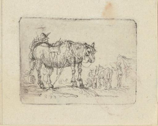 Man standing behind a horse