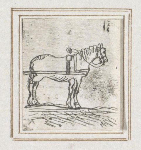 Harnessed Horse