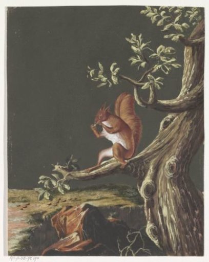 Squirrel on a Branch