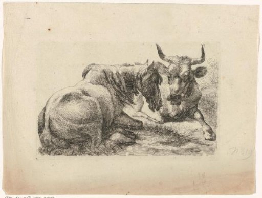 Recumbent horse and cow