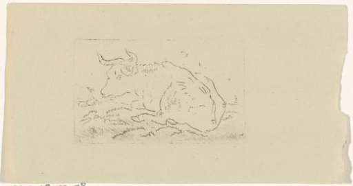 Recumbent cow