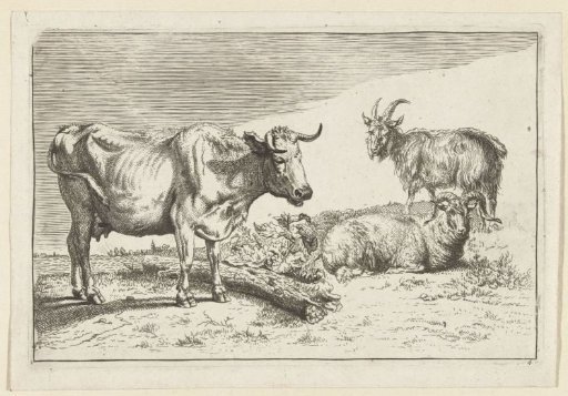 Standing cow with twisted horn with a sheep and a goat
