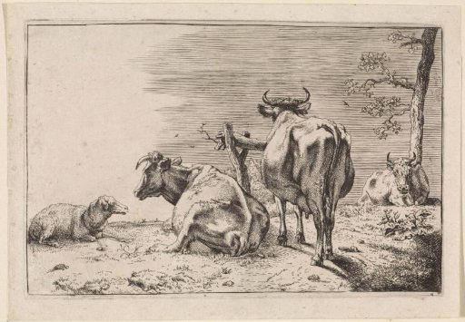 Two cows seen from behind