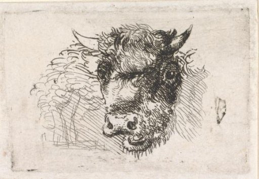 Cow's head and sheep's head