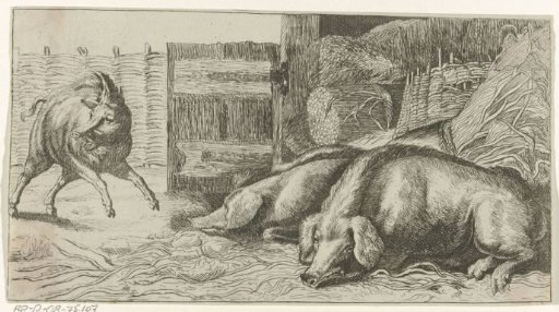 Pigs