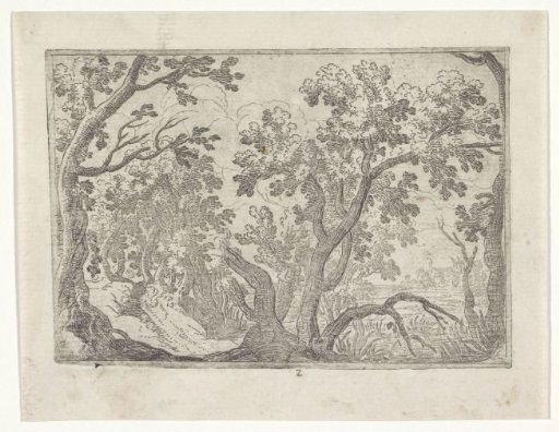 Landscape with forest and water