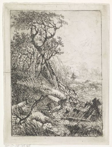 Landscape with trees