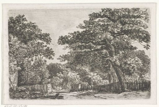 Landscape with trees and a fence